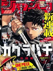 法国电影全集收录作品巴黎野玫瑰封面